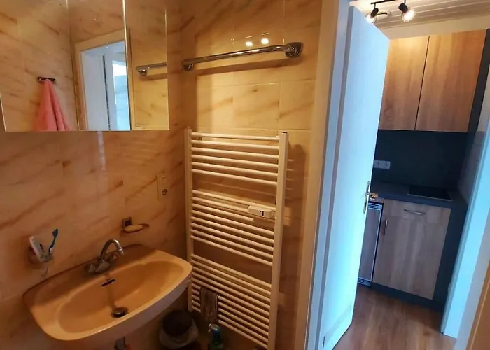 アパート Rheinpanorama *